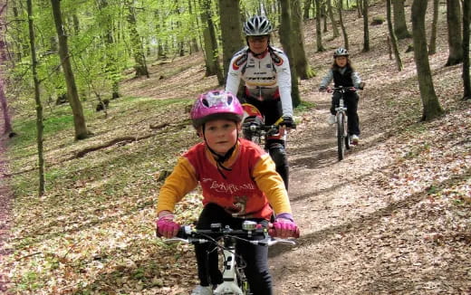 a group of people riding bikes on a trail in the woods