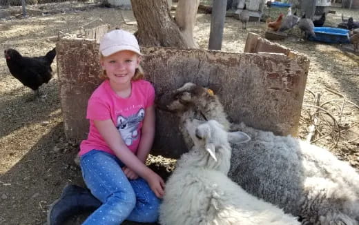 a girl sitting next to a couple of sheep