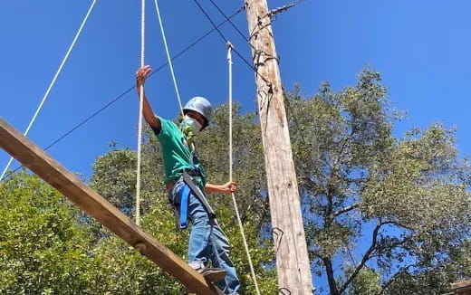 a person climbing a tree