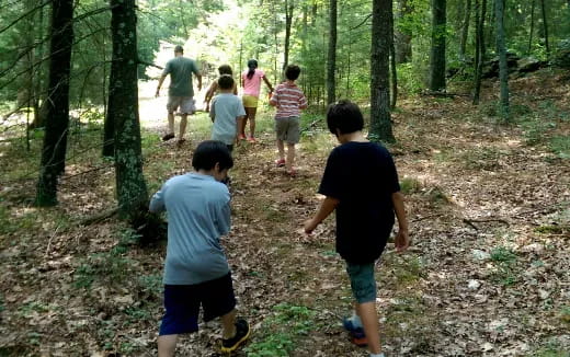a group of people walking in the woods
