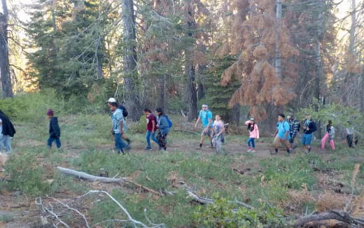 a group of people walking through a forest