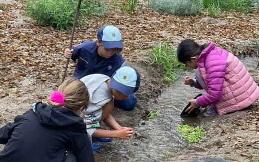 a group of people planting plants