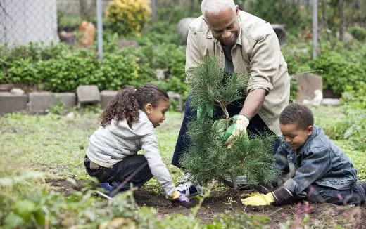 a man and two children planting plants