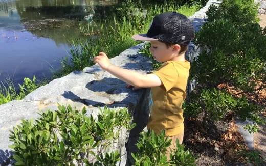 a child standing by a pond