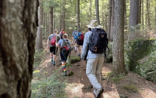 a group of people hiking in the woods