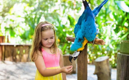 a girl holding a parrot