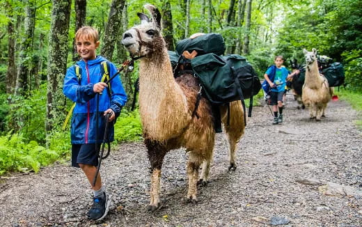 a boy and a donkey with bags on their backs