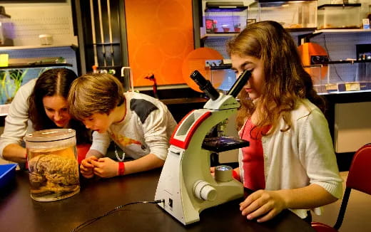 a few children looking at a microscope