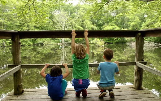 a group of kids playing on a wooden bridge