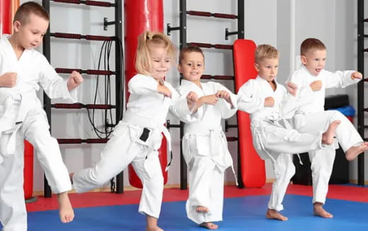 a group of children in karate uniforms