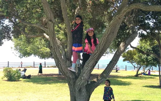 a person and two children in a tree