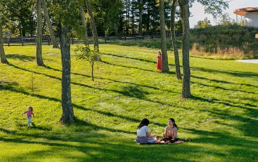 a group of people sitting on a blanket in a grassy area