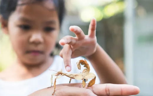 a boy holding a crab