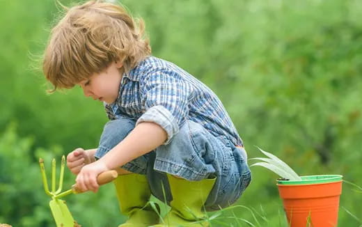 a child picking plants