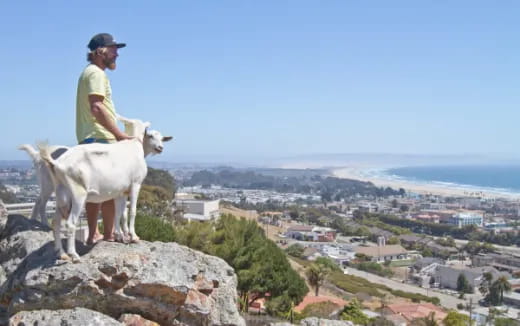 a person with a goat on a rock overlooking a city