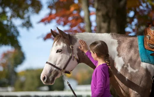 a girl petting a horse