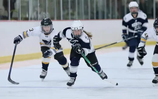 a group of people playing hockey