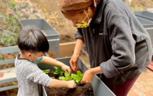 a person and a child planting plants