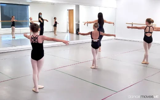 a group of women exercising