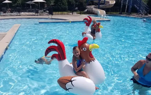 a group of people in a pool with a large white duck
