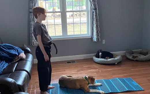 a boy and two dogs in a living room