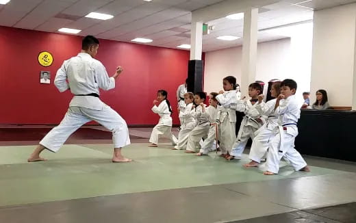 a man in a karate uniform kicking a boy in the air