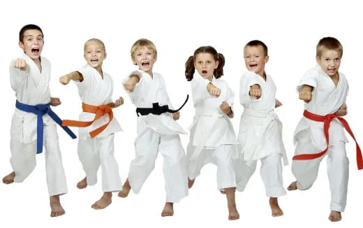 a group of children in karate uniforms