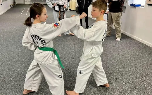 a couple of children in karate uniforms