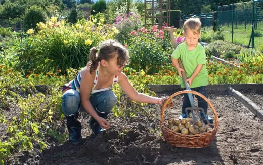 a couple of children planting a garden