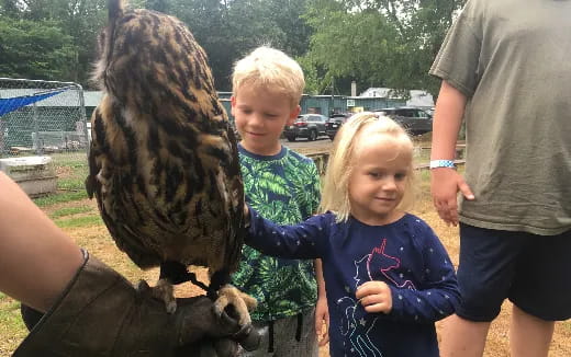 a child petting a large lizard