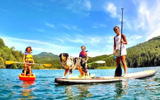a person and a dog on a paddle board with a dog on it