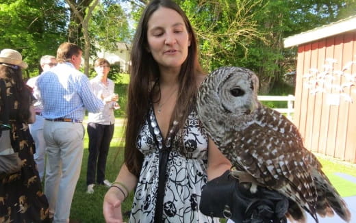 a person holding an owl