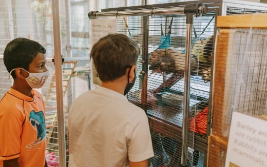 a couple of men looking at a bird in a cage