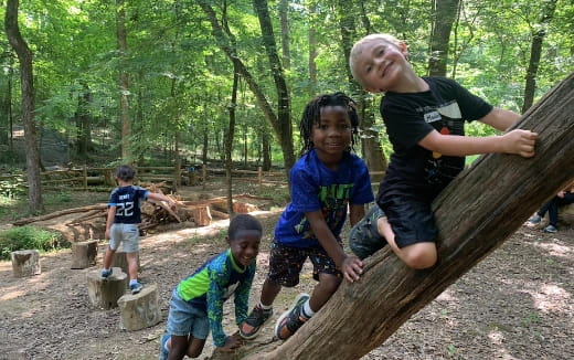 a group of kids playing on a log in the woods