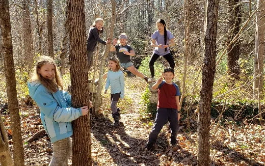 a group of people walking through the woods