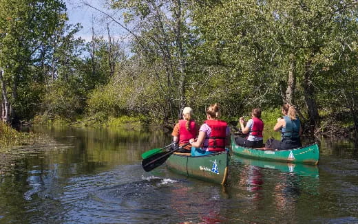 a group of people in canoes on a river