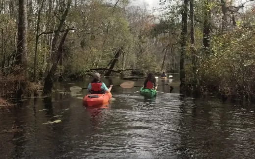 a group of people in kayaks on a river