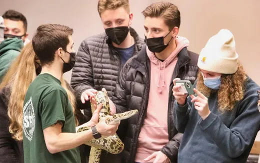 a group of people looking at a small turtle