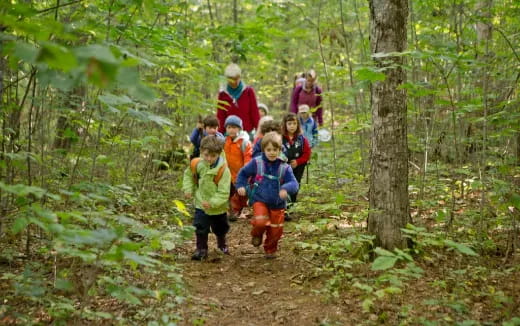 a group of children walking through the woods