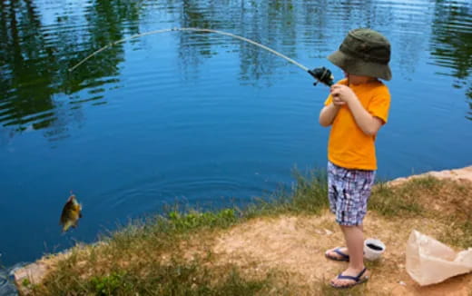 a boy fishing in a lake