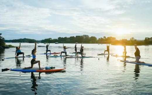 a group of people on surfboards in the water