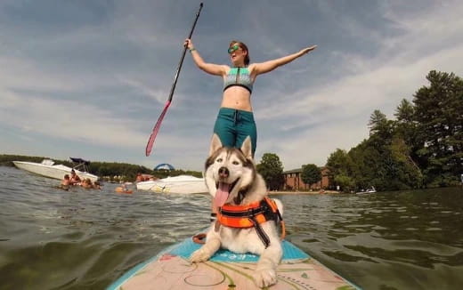 a person on a paddle board with a dog on it