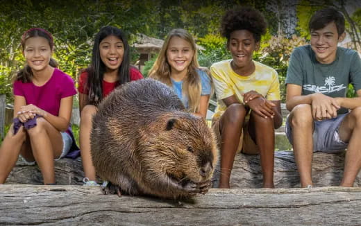 a group of people sitting next to a bear