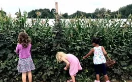 a group of children in a garden