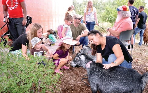 a group of people looking at a dog