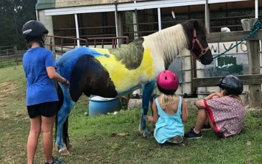 a group of children looking at a horse in a pen