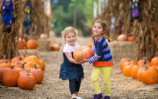 a couple of children holding a pumpkin