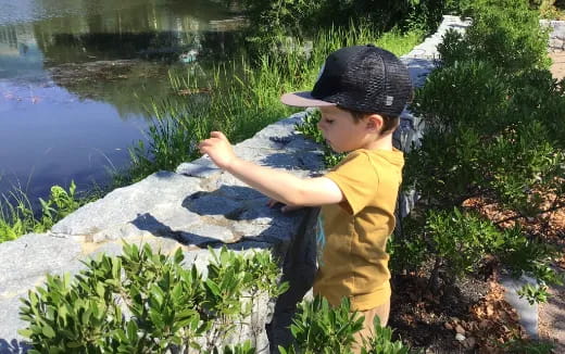 a child standing on a rock by a pond
