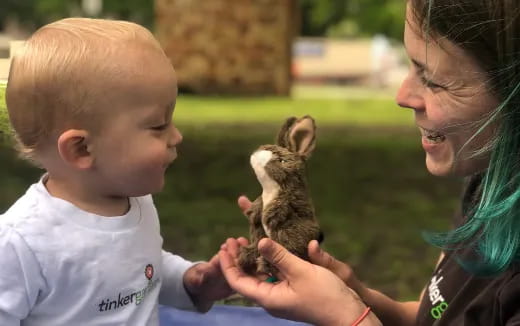 a person and a baby petting a rabbit