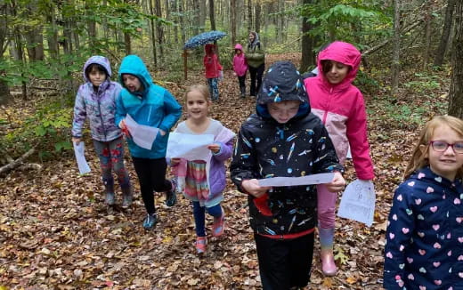 a group of children walking in the woods